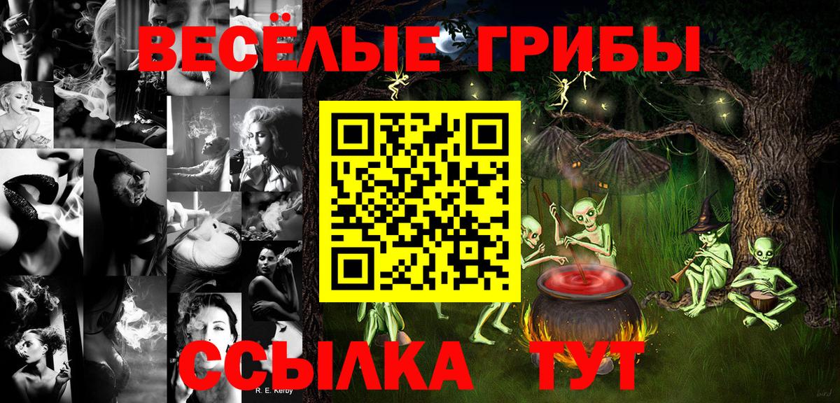 Гашиш Волхов