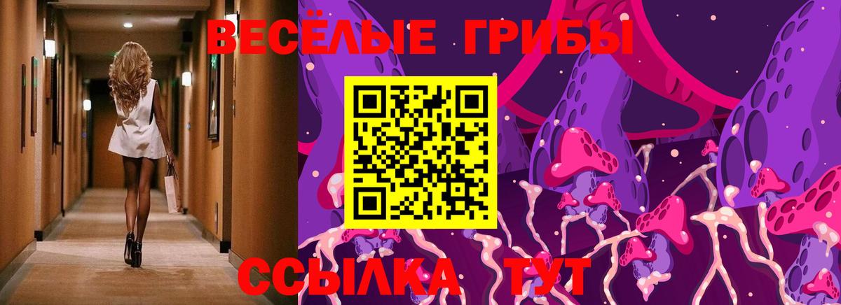 Галлюциногенные грибы MAGIC MUSHROOMS  Псилоцибиновые грибы мицелий  Вход с VPN  цены   Волхов 