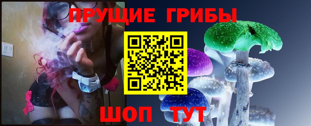 Галлюциногенные грибы Cubensis Волхов